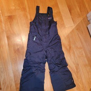 Navy Patagonia Snow Pants